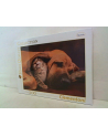 CLEMENTONI 500 EL. Cuddles - nr 2
