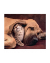 CLEMENTONI 500 EL. Cuddles - nr 5