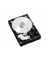 Western Digital Dysk twardy WD Red Pro, 3.5'', 2TB, SATA/600, 7200RPM, 64MB cache - nr 36