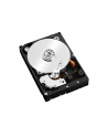 Western Digital Dysk twardy WD Red Pro, 3.5'', 2TB, SATA/600, 7200RPM, 64MB cache - nr 63