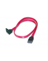 ASSMANN Kabel Serial ATA Typ SATA (7pin) kątowy/SATA (7pin) Ż/Ż czerwony 0,5m - nr 4