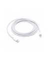 Apple Lightning to USB-C Cable (2 m) - nr 11