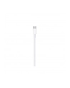 Apple Lightning to USB-C Cable (2 m) - nr 28