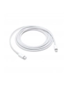 Apple Lightning to USB-C Cable (2 m) - nr 31