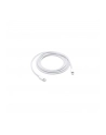 Apple Lightning to USB-C Cable (2 m) - nr 36