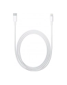 Apple Lightning to USB-C Cable (2 m) - nr 42