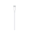 Apple Lightning to USB-C Cable (2 m) - nr 45