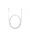 Apple Lightning to USB-C Cable (2 m) - nr 48