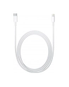 Apple Lightning to USB-C Cable (2 m) - nr 49