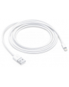 Apple kabel Lightning USB - 2m - bulk - MD819ZM/A Bulk - nr 21