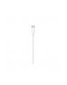 Apple Lightning to USB-C Cable (2 m) - nr 18