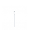 Apple Lightning to USB-C Cable (2 m) - nr 45