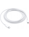 Apple Lightning to USB-C Cable (2 m) - nr 47
