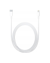 Apple Lightning to USB-C Cable (2 m) - nr 49