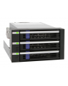 IcyDock MB153SP-B black 3.5 Cala - 3xSATA Backplane 3.5 Cala - nr 11