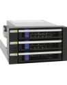 IcyDock MB153SP-B black 3.5 Cala - 3xSATA Backplane 3.5 Cala - nr 27