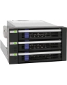 IcyDock MB153SP-B black 3.5 Cala - 3xSATA Backplane 3.5 Cala - nr 36
