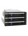 IcyDock MB153SP-B black 3.5 Cala - 3xSATA Backplane 3.5 Cala - nr 43