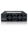 IcyDock MB994SP-4SB-1 - 4x2.5 Cala SATA 6GB/s SSD/HDD - nr 4