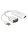 DeLOCK Adapter - VGA + USB - HDMI - nr 4