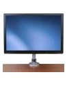 StarTech.com ADJUSTABLE MONITOR ARM . - nr 32