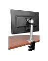 StarTech.com ADJUSTABLE MONITOR ARM . - nr 34