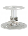 CEILING MOUNT SHORT FOR ALL ACER PROJECTORS - nr 10