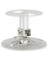 CEILING MOUNT SHORT FOR ALL ACER PROJECTORS - nr 17