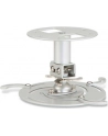CEILING MOUNT SHORT FOR ALL ACER PROJECTORS - nr 20