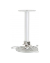 CEILING MOUNT LONG FOR ALL ACER PROJECTORS - nr 16