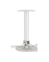 CEILING MOUNT LONG FOR ALL ACER PROJECTORS - nr 27