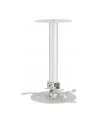 CEILING MOUNT LONG FOR ALL ACER PROJECTORS - nr 30
