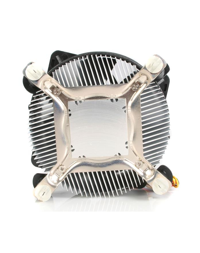 StarTech.com 95MM CPU COOLER FAN HEATSINK IN główny