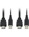 LevelOne CABLE KVM SWITCH 2 PORTS .                                IN - nr 24