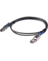 Hewlett Packard Enterprise Ext 2.0m MiniSAS HD to MiniSAS Cbl 716191-B21 - nr 16