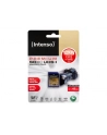 Intenso SDXC 128GB, UHS-I/Class 10 (3421491) - nr 1
