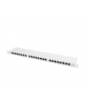 Lanberg Patch Panel 24 port 0.5U, kat. 6, ekranowany, szary - nr 8