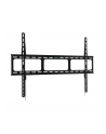 Techly Uchwyt ścienny do TV LCD/LED/PDP 42-80'' 60 kg VESA slim czarny - nr 25