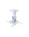 Techly Uchwyt sufitowy do projektora 22 cm 10 kg biały - nr 12