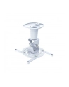 Techly Uchwyt sufitowy do projektora 22 cm 10 kg biały - nr 26