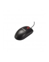Lenovo ThinkPlus USB Optical Wheel Mouse - nr 5