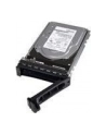 Dell HDD 3.5IN NLSAS 12G 7.2K 4.00T HOTPLUG 512N FULL ASS KIT - nr 10