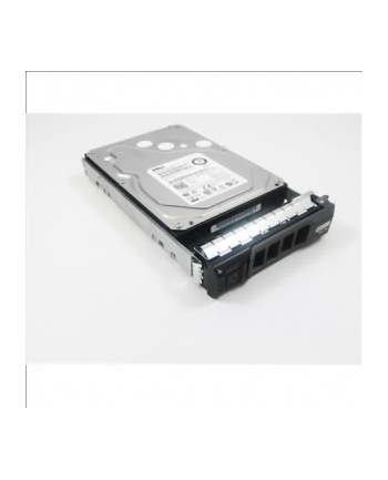 Dell HDD 3.5IN NLSAS 12G 7.2K 4.00T HOTPLUG 512N FULL ASS KIT