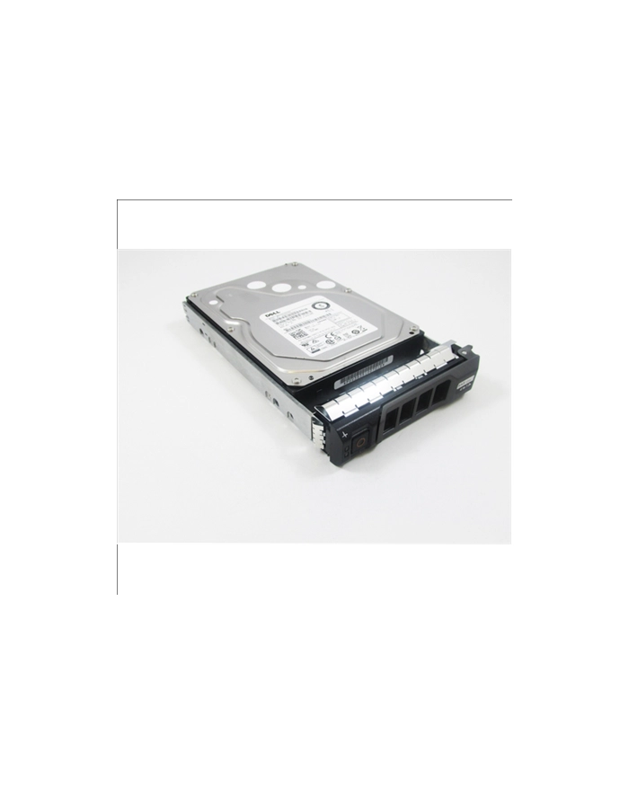 Dell HDD 3.5IN NLSAS 12G 7.2K 4.00T HOTPLUG 512N FULL ASS KIT główny
