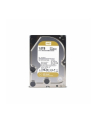 WESTERN DIGITAL Dysk WD WD1005FBYZ WD Gold 3.5'' 1TB 7200 128MB SATA 6Gb/s - nr 19