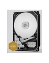 WESTERN DIGITAL Dysk WD WD1005FBYZ WD Gold 3.5'' 1TB 7200 128MB SATA 6Gb/s - nr 1