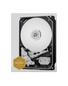 WESTERN DIGITAL Dysk WD WD2005FBYZ WD Gold 3.5'' 2TB 7200 128MB SATA 6Gb/s - nr 3