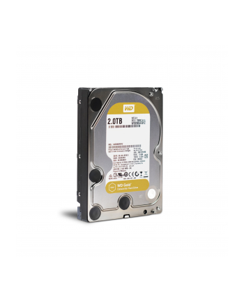 WESTERN DIGITAL Dysk WD WD2005FBYZ WD Gold 3.5'' 2TB 7200 128MB SATA 6Gb/s nr 2