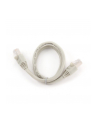 Gembird patchcord RJ45, osłonka zalewana, kat. 6, UTP, 0.5m, szary - nr 20