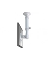 NewStar Uchwyt Sufitowy  (Wysokość: 37-47 cm) - nr 10